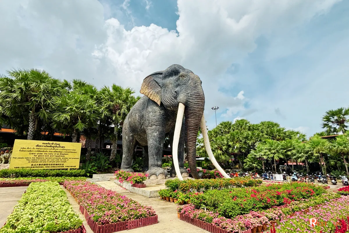 A photo check-in spot at Nong Nooch Tropical Garden